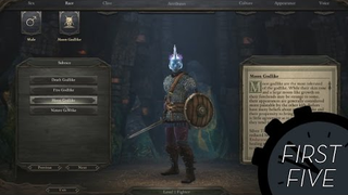 The First Five Character Building Minutes Of <i>Pillars Of Eternity</i>